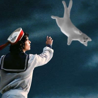 conenimals's profile picture. Posting Conan as animals (mostly cats) daily. Requests are open and submissions are appreciated and credited!