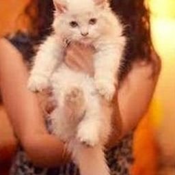 Roubau8477919's profile picture. 