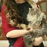 Yroumac (@yroumac4194) 's Twitter Profile