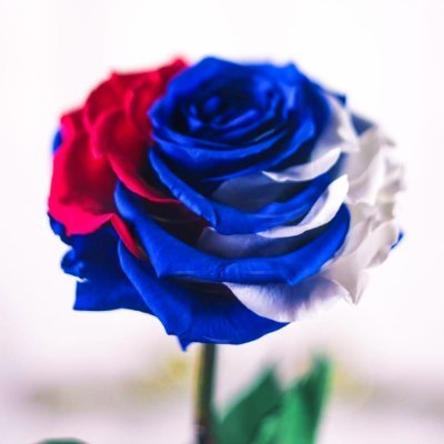 Uchi_Ageha_Nabi's profile picture. 漫画アシ|元絵描き垢|今見る専
#読書 #読了 #晴耕雨読