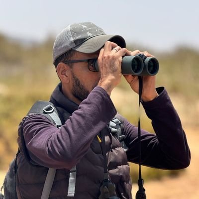 Birdwatching and photography in souss massa nationale park.