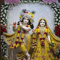 Neeraj (@neeraj8482) 's Twitter Profile