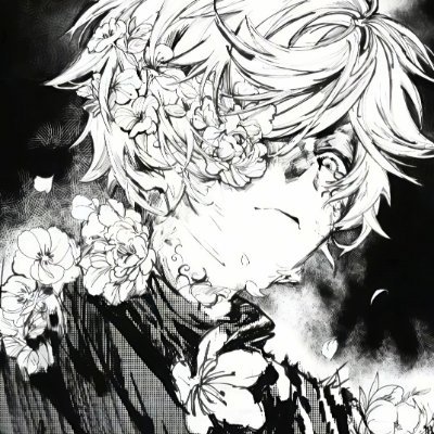 YNWyangwei's profile picture. 