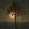 DrHistorias's profile picture. No toda reflexión es pensamiento sobre sí mismo