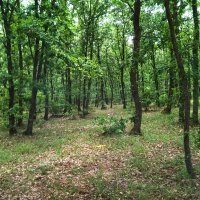 rüşdü (@sudupak34502) Twitter profile photo