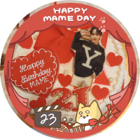 deko (@deko_mame24) 's Twitter Profile