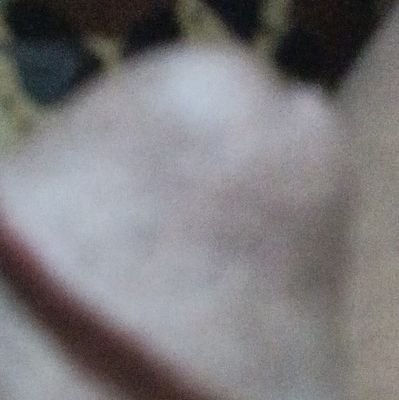 bubu_ahmed55840's profile picture. 