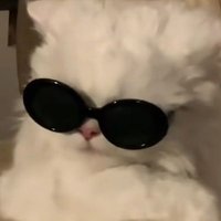 abby (@abbywashere_x) 's Twitter Profile