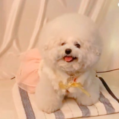 krtnk_star's profile picture. かわさきほしきくんが好きなどこにでもいるおたく 自分の好きを信じたい