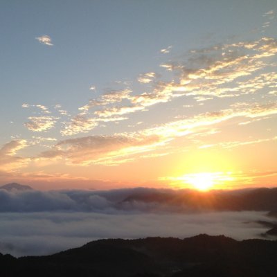 n0bu_n's profile picture. 