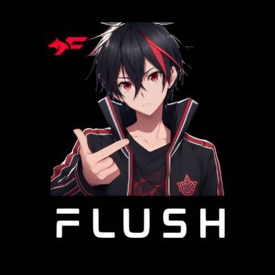 Flush | 29/11/2024❤️| player for Street Gaming |🇧🇷| 144hz