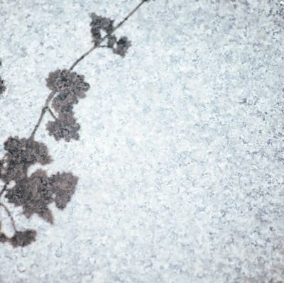 1___r5's profile picture. きろく