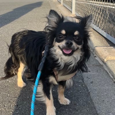 ayt6hu's profile picture. 