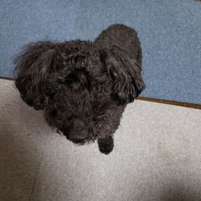 ryublo1's profile picture. 固定ポスト見てみ?笑うからww