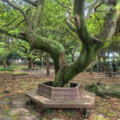 不知道上推特来干啥。