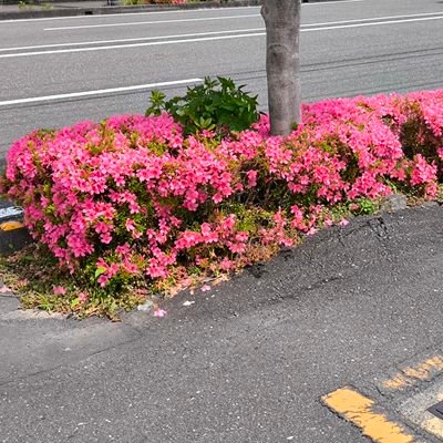 \ CIMON /さんのプロフィール画像