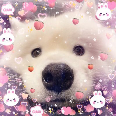 ★ . ꜝꜞ ᳝ ࣪ ( 𝓟𝓪𝓽𝓻𝓲𝓬𝓴 𝓕𝓲𝓷𝓴𝓵𝓮𝓻 ) ☁️ׂ ʬʬ @patrick_pppat | kepat🍉🍑 | BKPP🐧 | 3🎋| 3🐻 | AKMO | feel free to mute/unfollow | fan account