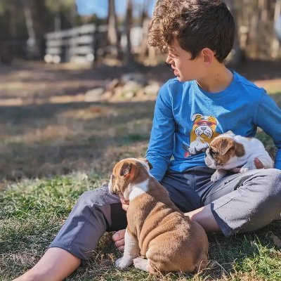 We have all types of dogs and puppies ready for loving homes! Healthy, playful, and well-socialized perfect for families or individuals .