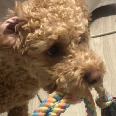 deluutimestwo's profile picture. CANNIBAL