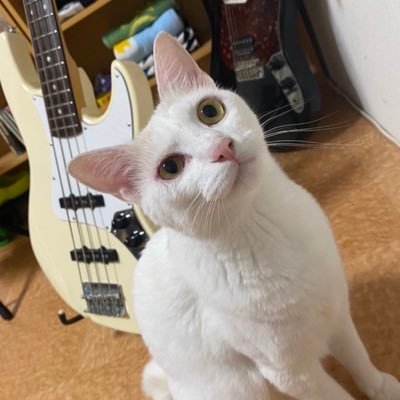 さんま Profile
