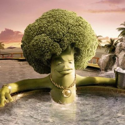 brunaofromtwt's profile picture. we shall never surrender