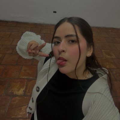 me gustan los gatos, los takis, one direction, justin bieber y tú, nene