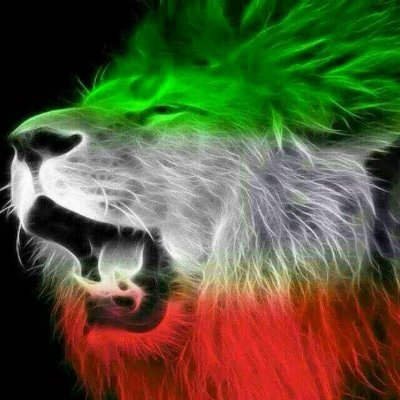 عقابی که سر سفره کلاغ نشت، عقاب نیست
ما بر آن شدهایم تا سر بر میلهها بکوبیم. سرهای بیشماری خواهند شکست، اما روزی میلهها میشکنندراه من انقلاب و انتقام است!!