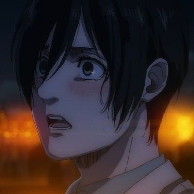 maybe in another life, maybe in another universe —Mikasa Acrkerman