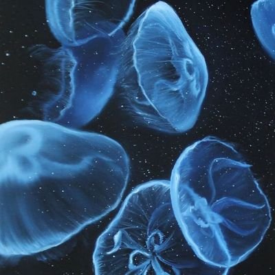 qlqlkk03's profile picture. 