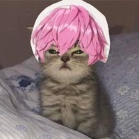 eia (@eiaaalim) 's Twitter Profile