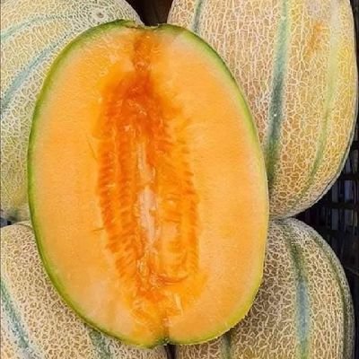 تحياتي لمن دمر حياتي @@مشجع النادى الأهلى المصرى
