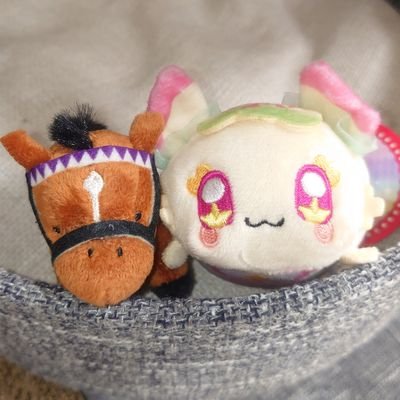 ソシャカスちゃんさんのプロフィール画像