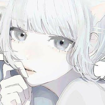 shinkori1981's profile picture. 