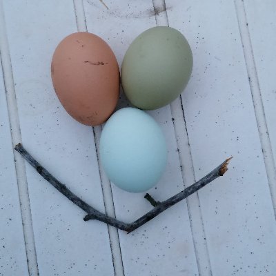 Lo que no quieras para ti no lo quieras para los demás.