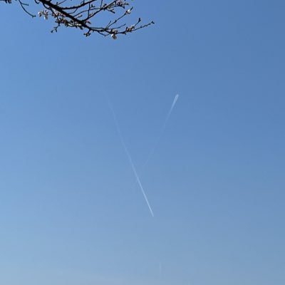 tomooo_6's profile picture. 推しのためのアカウント🌸 宇都宮ブレックス🏀📣