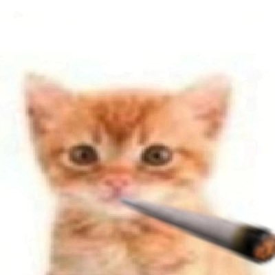 biqui__'s profile picture. fina.