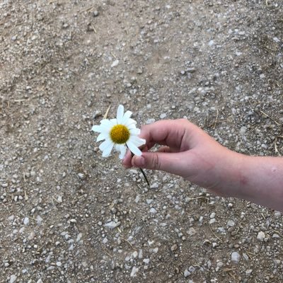 écologiste avant tout, je souhaite une société du vivre ensemble où chacun puisse vivre dignement et équitablement.