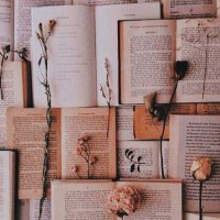 🤍 (@read_with_julie) 's Twitter Profile