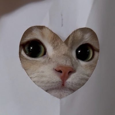 BabeyNeptunee's profile picture. TH/EN/CH/KR ݁˖ . ݁ 𝜗𝜚