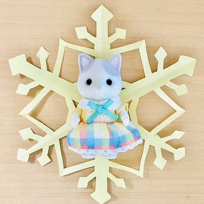 ナツです♪シルバニアファミリーが大好きです。最推しはラテネコ、特に女の子。お人形をたくさん持ってたり、ハンドメイドや写真が上手だったりなわけではないけど、自分なりにシルバニアを愛していきたいと思ってます。よろしくお願いします♪ フォロー、フォロバは無言希望です