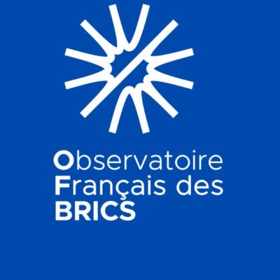 BRICSObs's profile picture. 