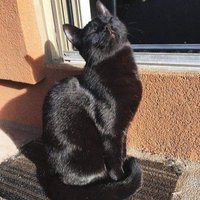 :) (@loversomuchj) 's Twitter Profile