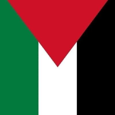 César Puche 🇦🇪 Profile