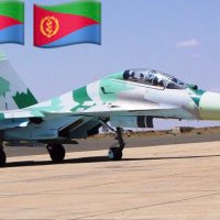 🇪🇷Eritreanarmy.Eripost🪖✈️ (@eriarmy_eripost) 's Twitter Profile