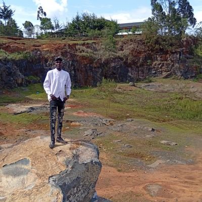 GradiusKip10017's profile picture. 