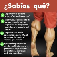 Ross soles (@r_lizaro) 's Twitter Profile