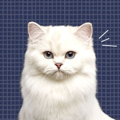 damnoen549616's profile picture. 