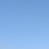 d3 (@d3_dpfp_watch) 's Twitter Profile
