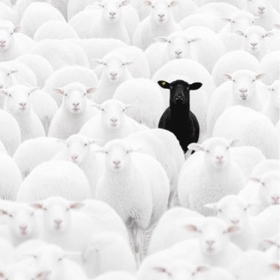 LwazoKans's profile picture. Dream big 🌠, Stay real😉 || Un GIF vaut mille mots || || Black by Nature/Proud by Choice || #lwazoattitude #GIFKing 👑 ✊🏿 #CongOptimist🇨🇩 @DrcHazhome