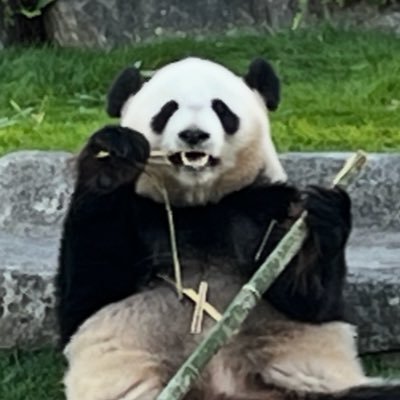 fukuchan2369635's profile picture. 福を呼ぶぱんだ。医療や健康についてつぶやいてみたくなりました オチがなくてすみません🙇‍♀️#医療 ⭐︎投資は興味ありません occupational physician M.D., Ph.D.